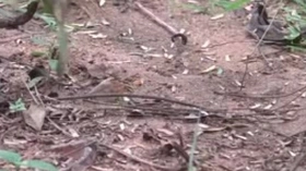 Kamala Aunty Phone lo Srungaram with Neighbour Telugu Phone Talk  Talk Telugu Mu low